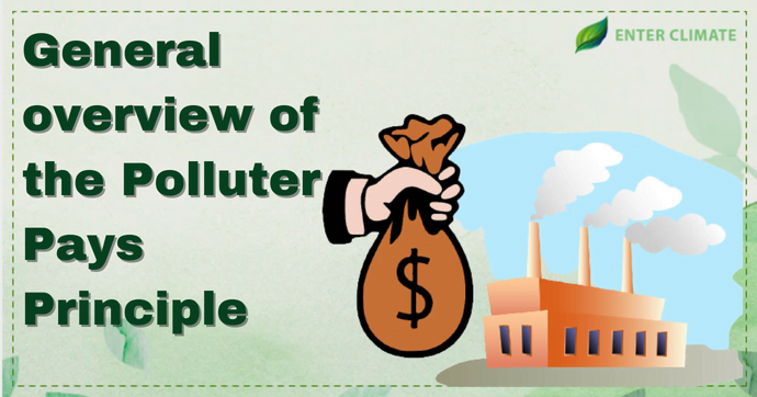 Polluter Pays Principle