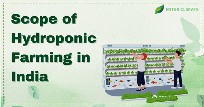 Hydroponic farming in India