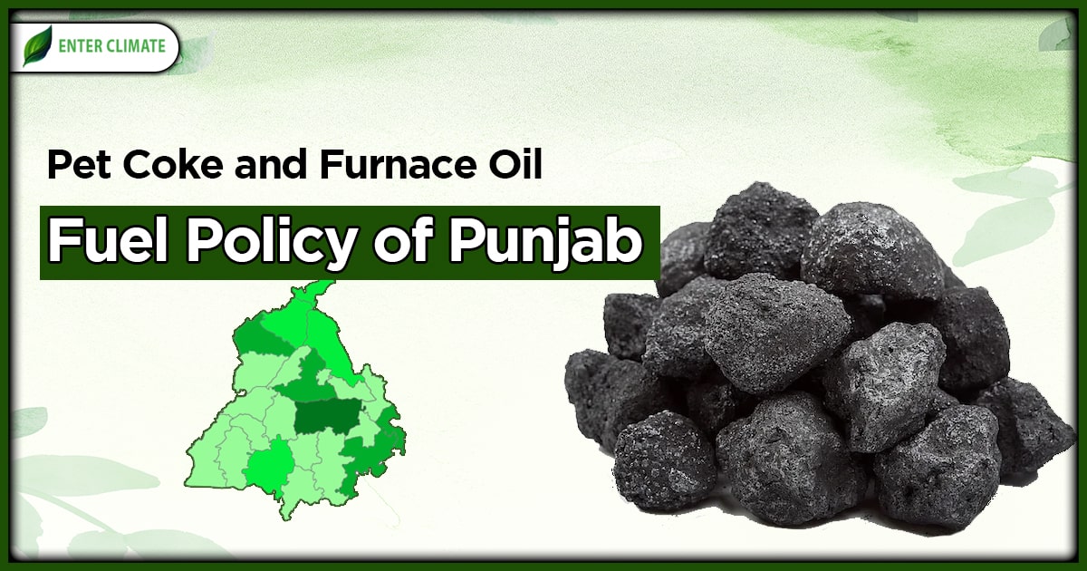 Overview of the Pet Coke and Furnace Oil Use Fuel Policy of Punjab